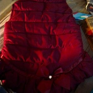 Dogs pretty red jacket